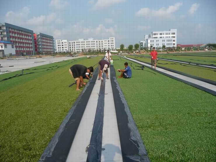 \(yn)(dng)ƺʩr(ji)D