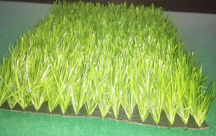 微生物對草坪草的影響很大您知道嗎