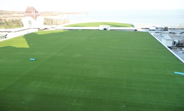 幼兒園假草坪地毯多少錢一平方？